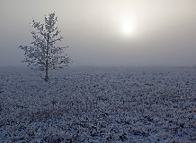 Decemberi nyitvatartás